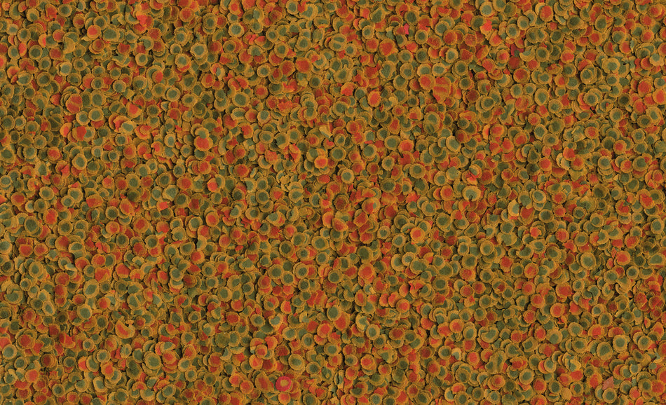 Tetra Pro Energy 250ml