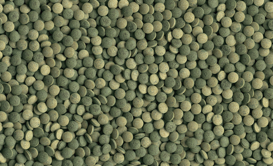 Tetra Pleco Tablets 275Tb