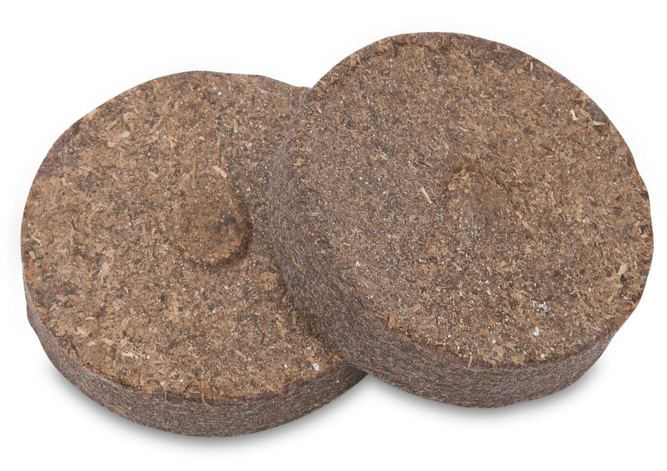 Connex Anzucht-Quelltabs 20 Stk/Pkg