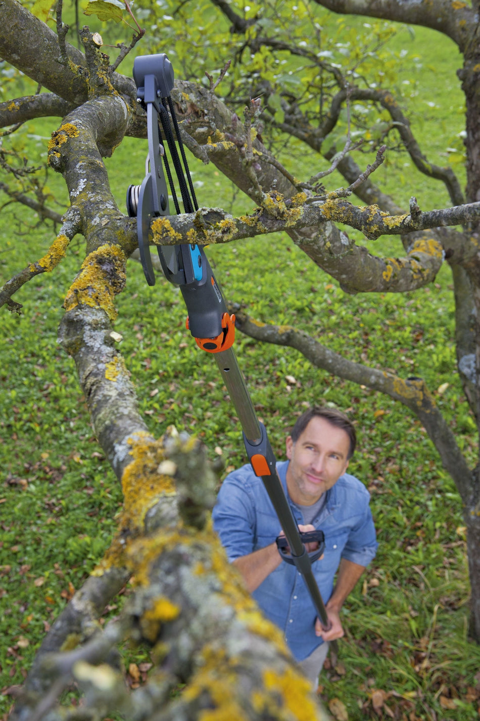 cs-Bypass-Baumschere