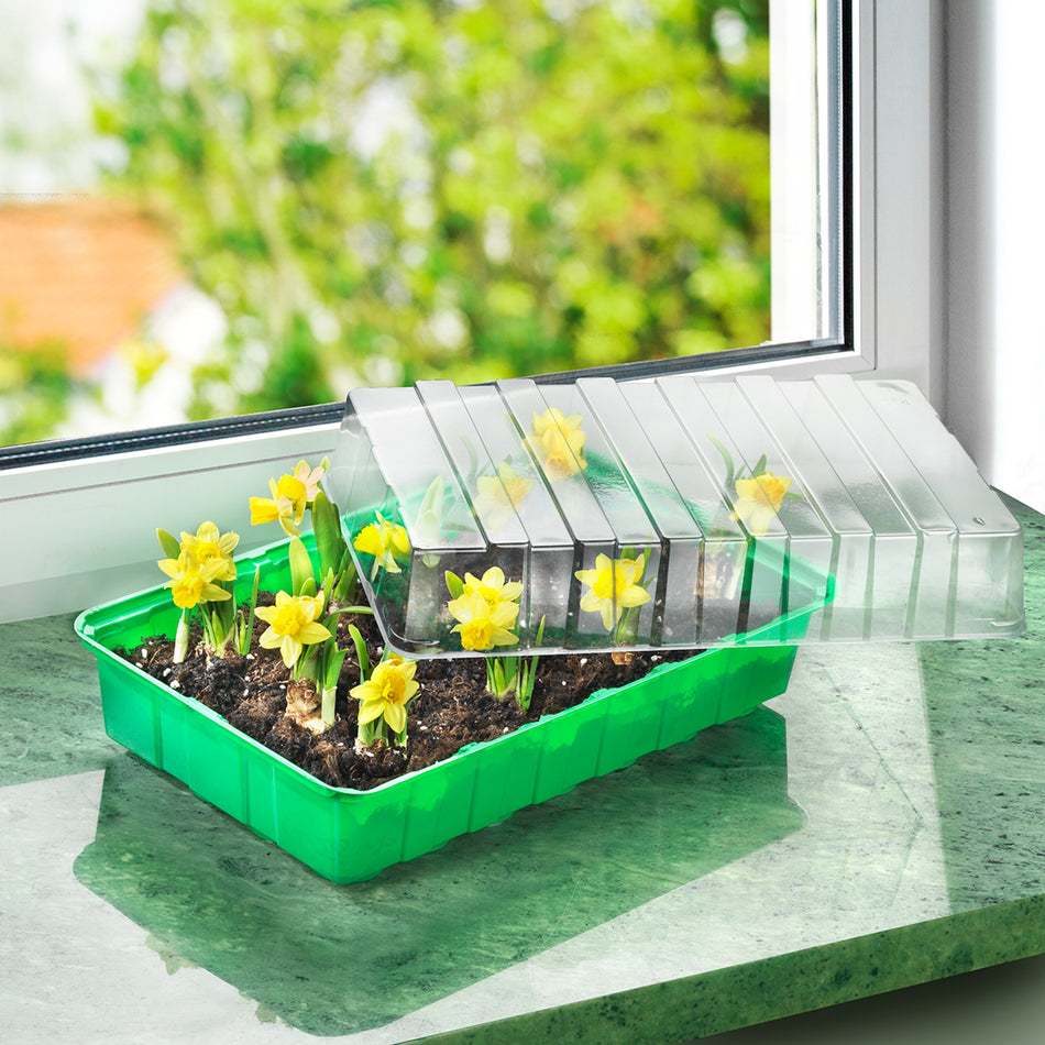 Connex Zimmergewächshaus 36x22x13 cm