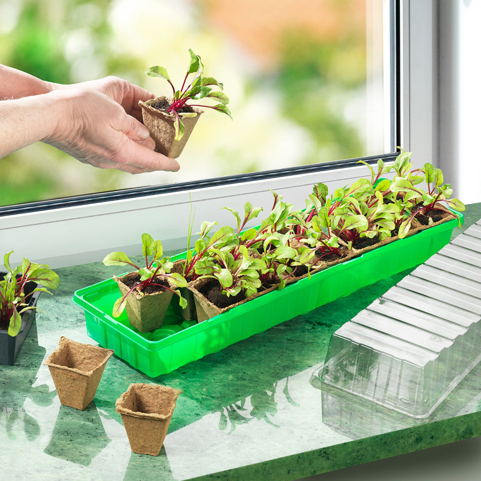 Connex Zimmergewächshaus mit 16 Anzuchttöpfen