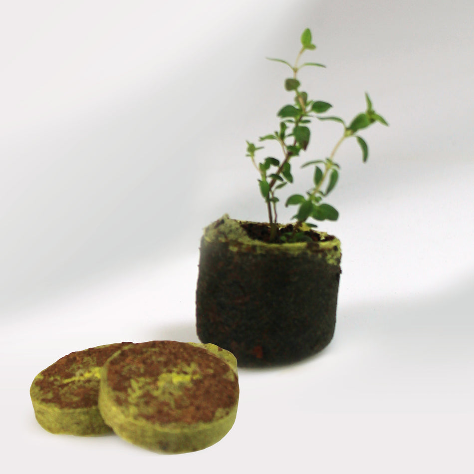 Connex Anzucht-Quelltabs 20 Stk/Pkg