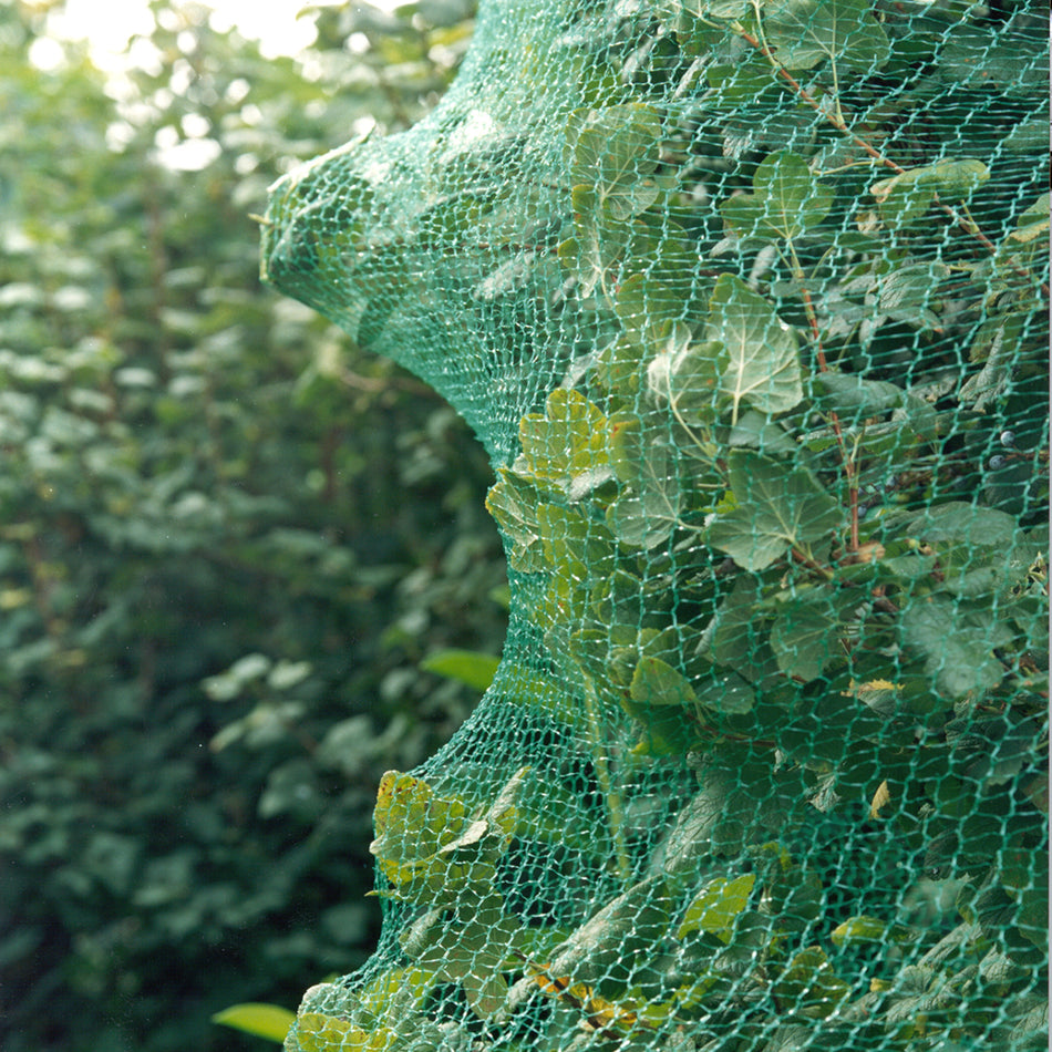 Conmetall Meister Vogelschutznetz 10x4m engmaschig