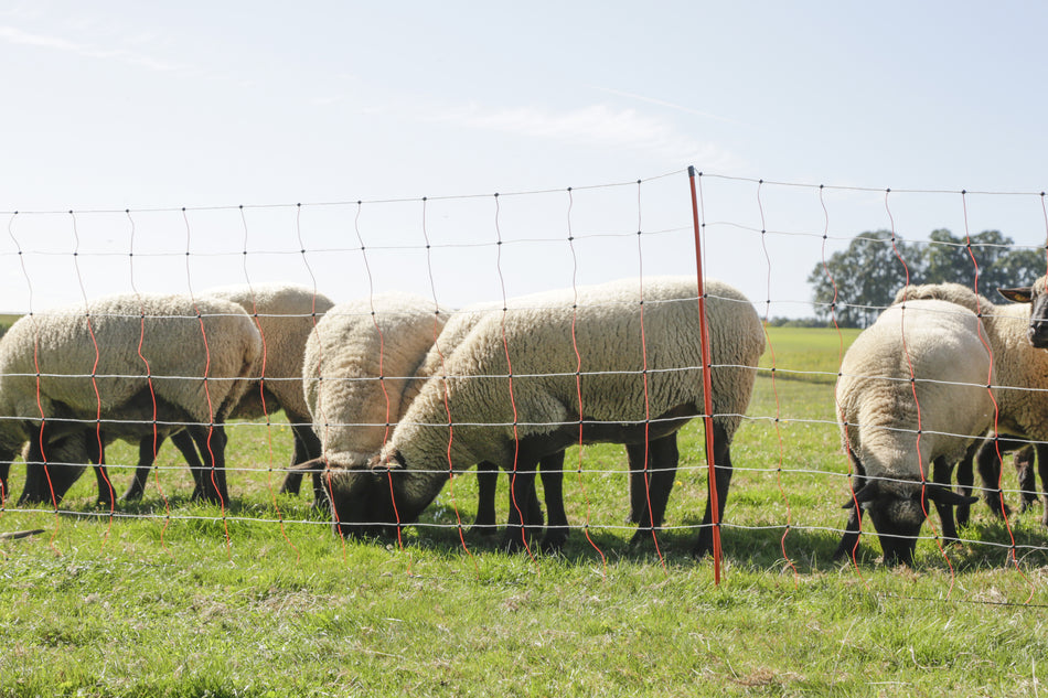 AKO Weidezaun 108cm mit Doppelspitze ToplineNet