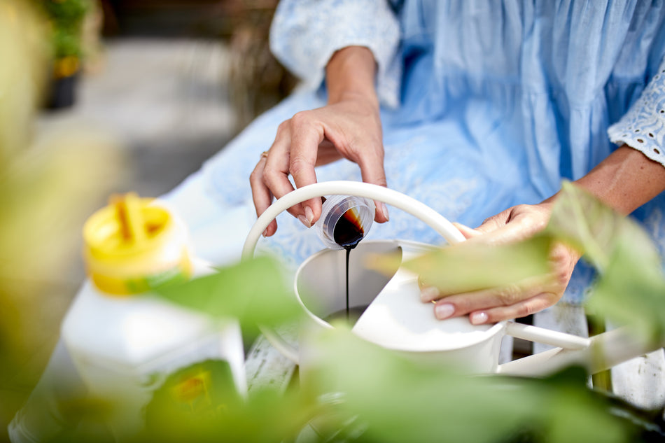 Compo Pflanzendünger 1l Öko Balance