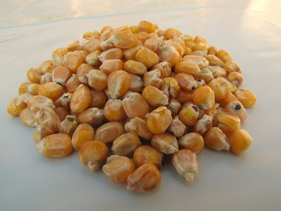 Futtermais 5kg Tierfutter